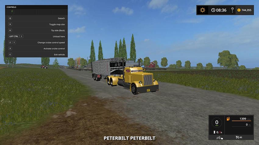 Peterbilt custom 2