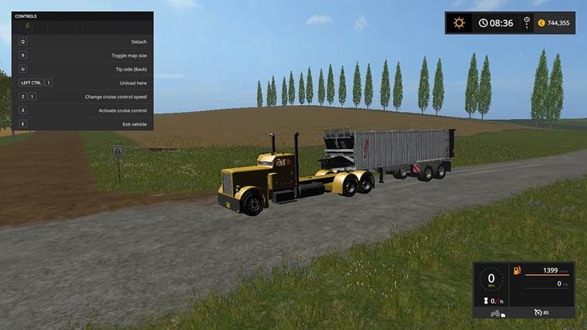 Peterbilt custom