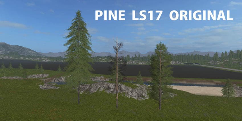 Pine Original [MP] 3