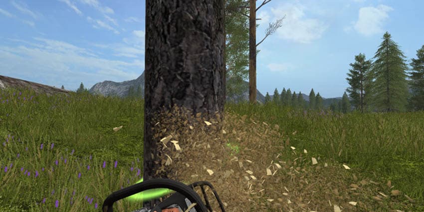 Pine Original [MP] 2