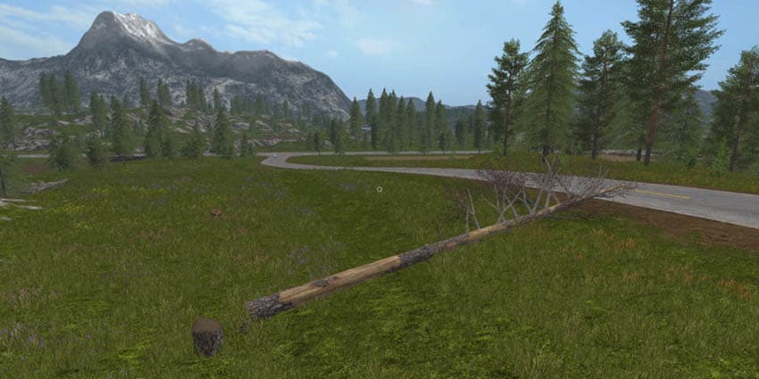 Pine Original [MP]