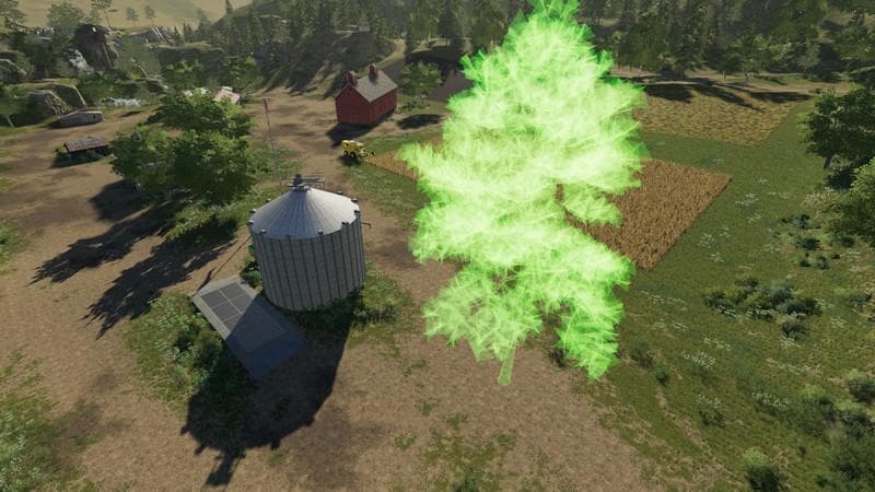 Pine can be placed 2
