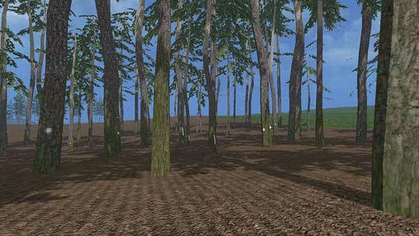 Pine trees with marks [MP] 3