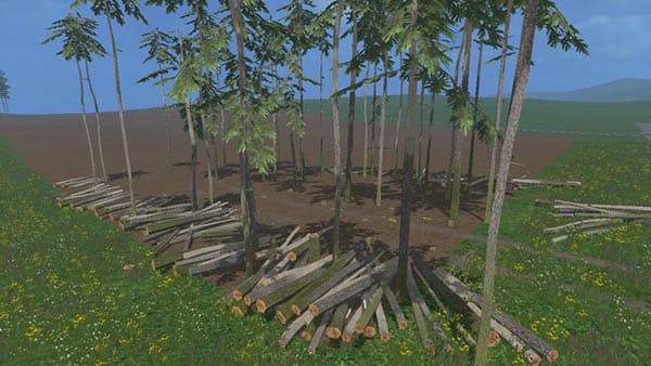 Pine trees with marks [MP]