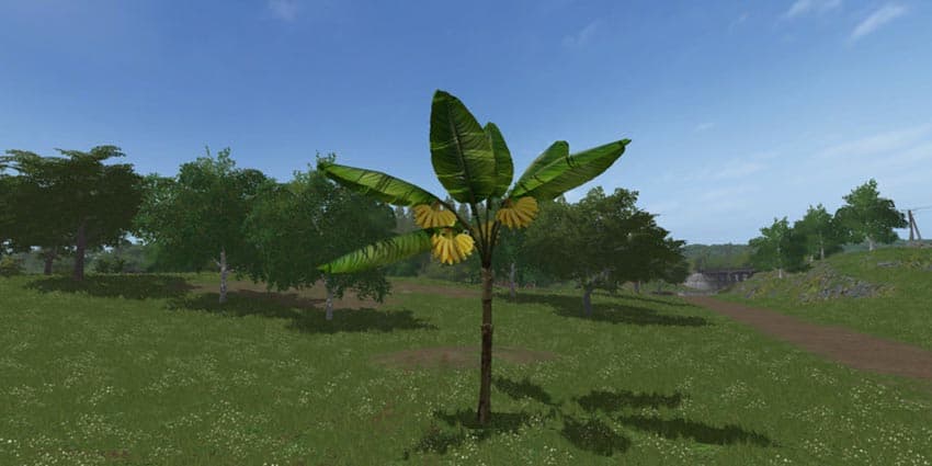 Placeable Banana Tree [MP]