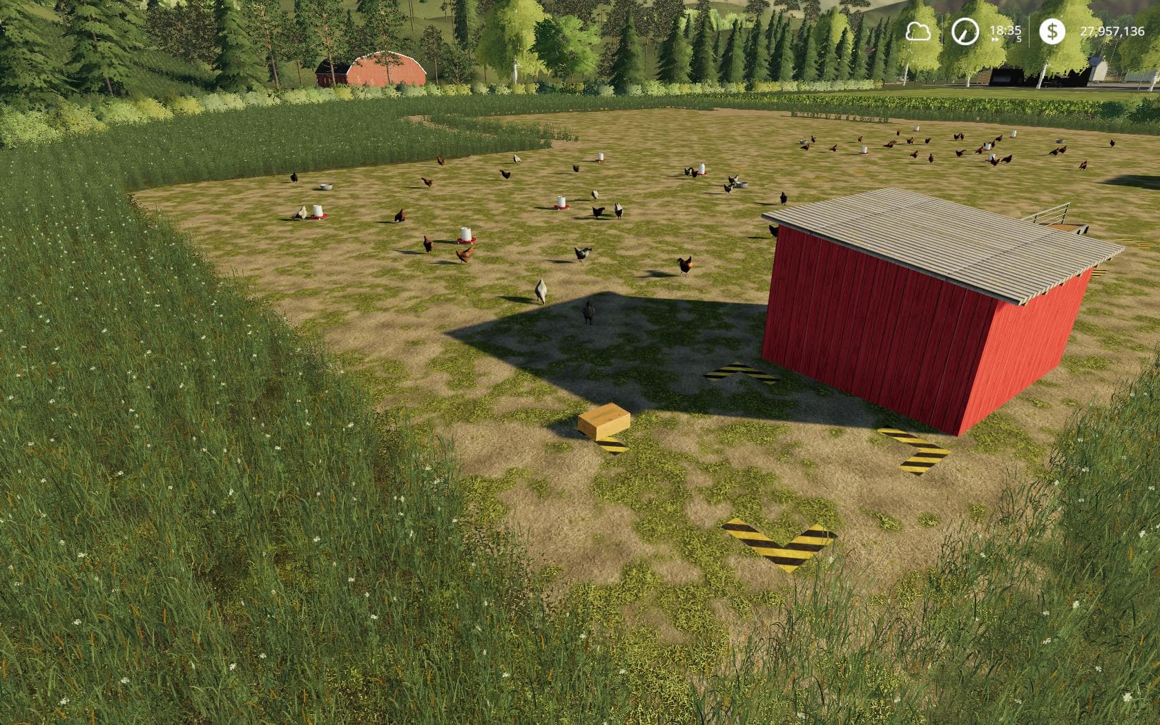 Placeable Free Range Chickens 2