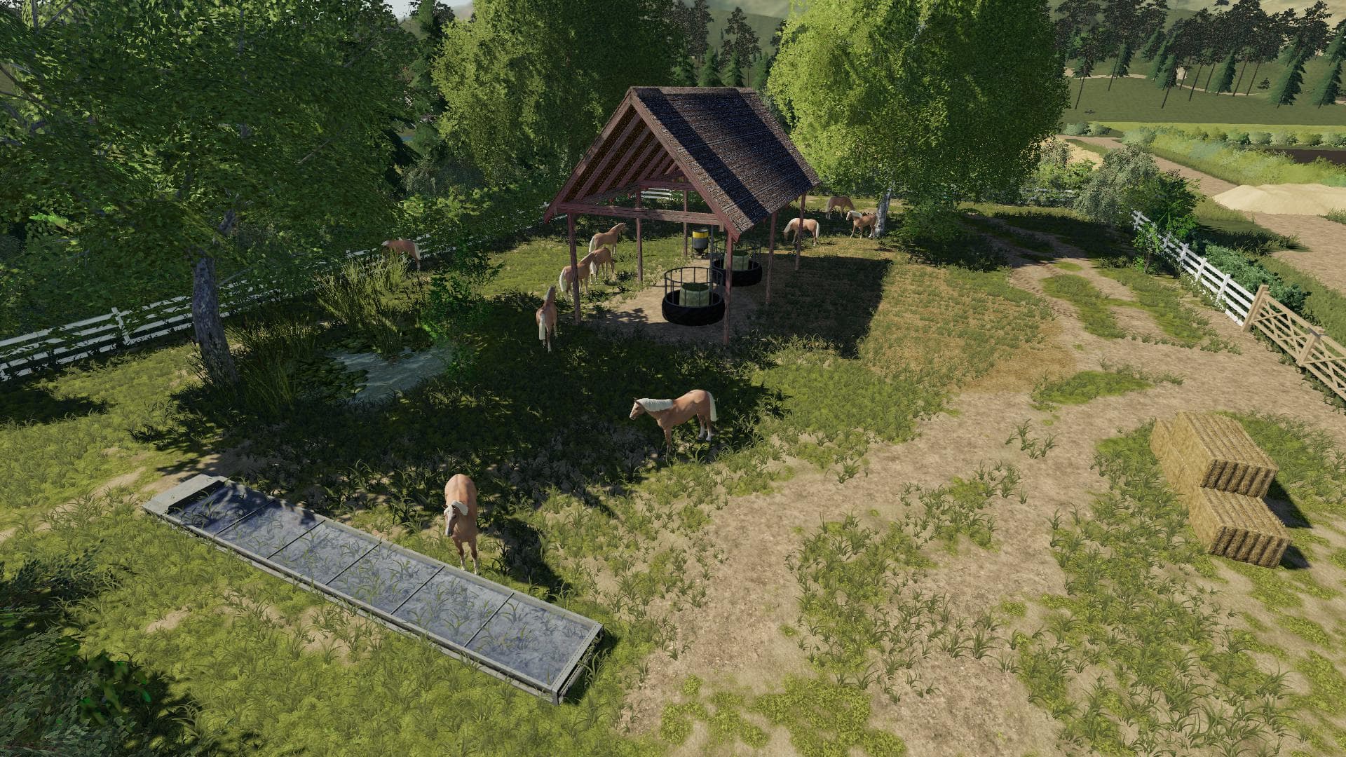 Placeable Open Horse pasture