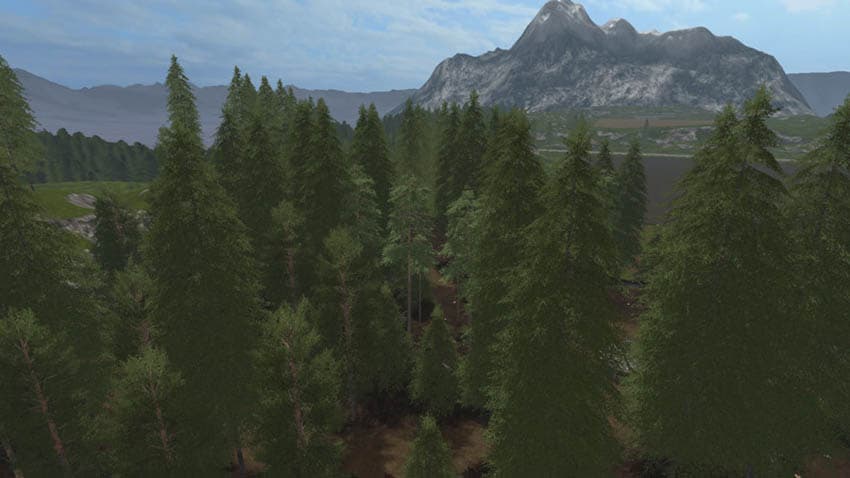 Placeable Pine Standard Set [MP] 3