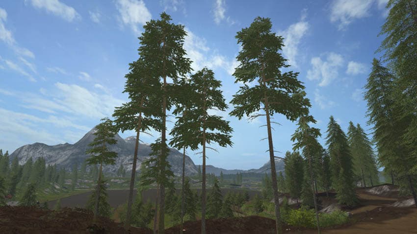 Placeable Pine Standard Set [MP] 2