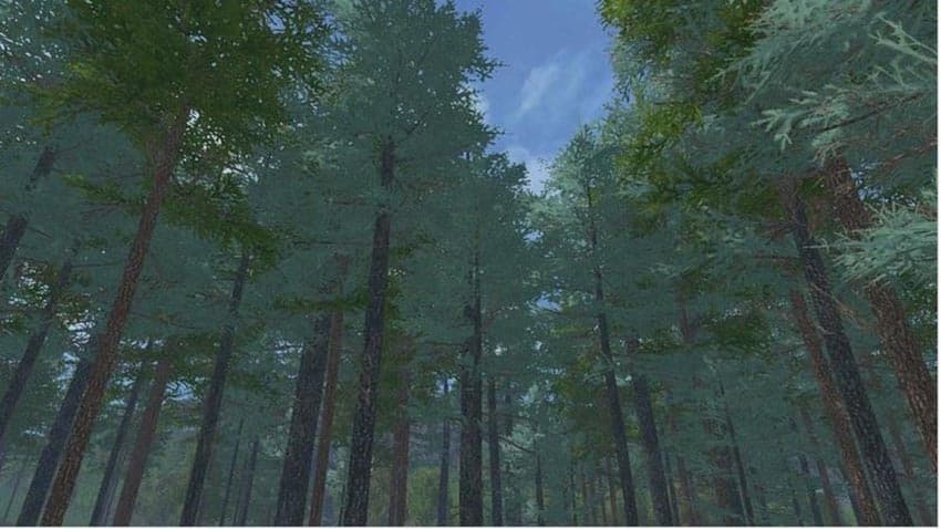Placeable blue spruce [MP]