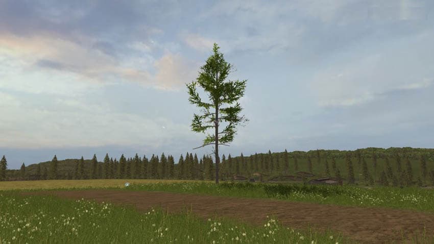 Placeable middle fir [MP]