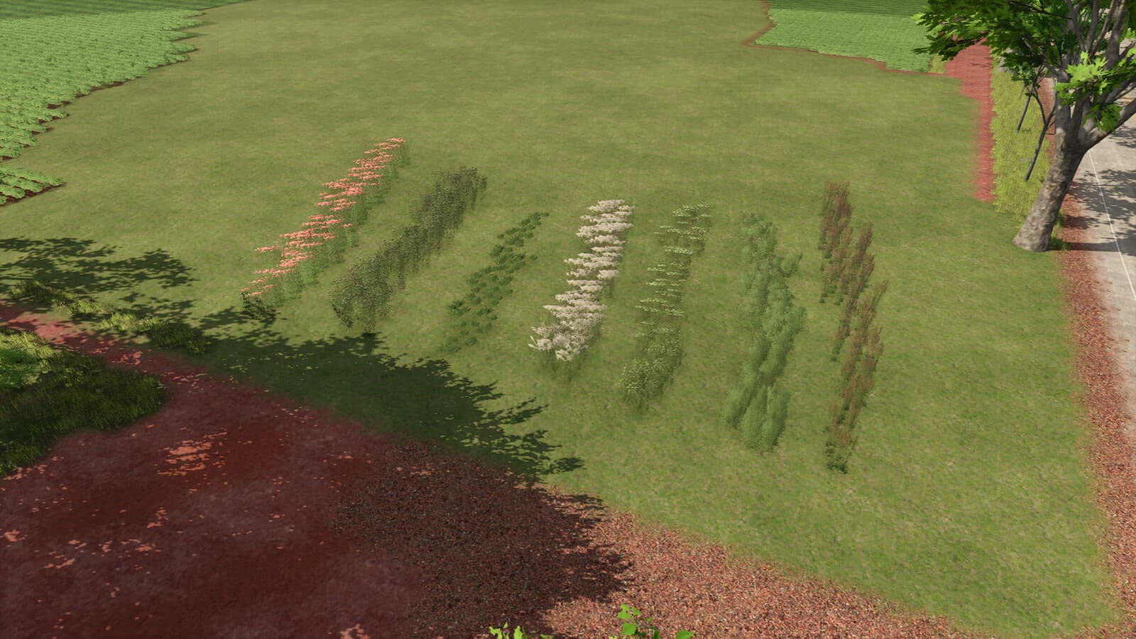 Plant Decoration Pack 2