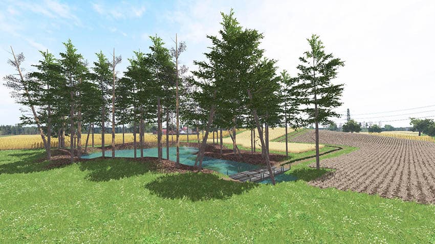 Polish farm Map 2
