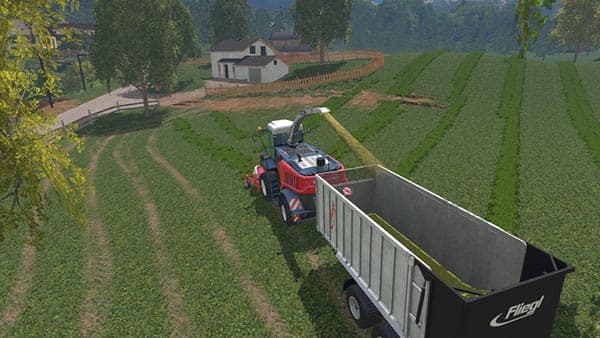 Pullhausen [MP] 5