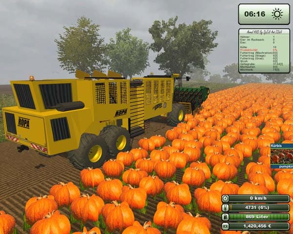 Pumpkin fruit [SP]
