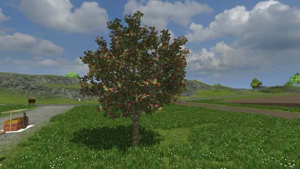 ROS fruit and berries [MP] 4