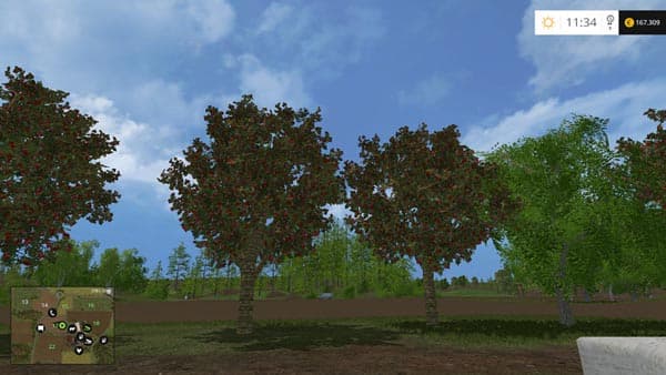 ROS fruit and berries [MP] 4