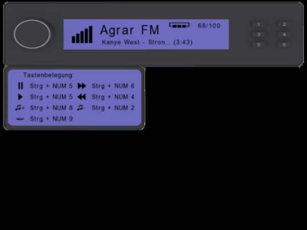 Radio Mod [MP]