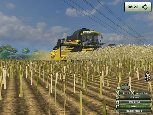 Rape textur [SP]