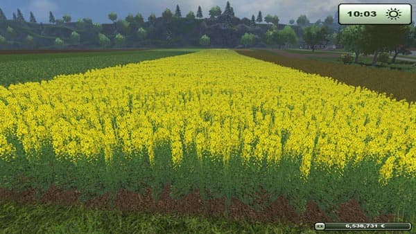 Rape texture [SP] 2