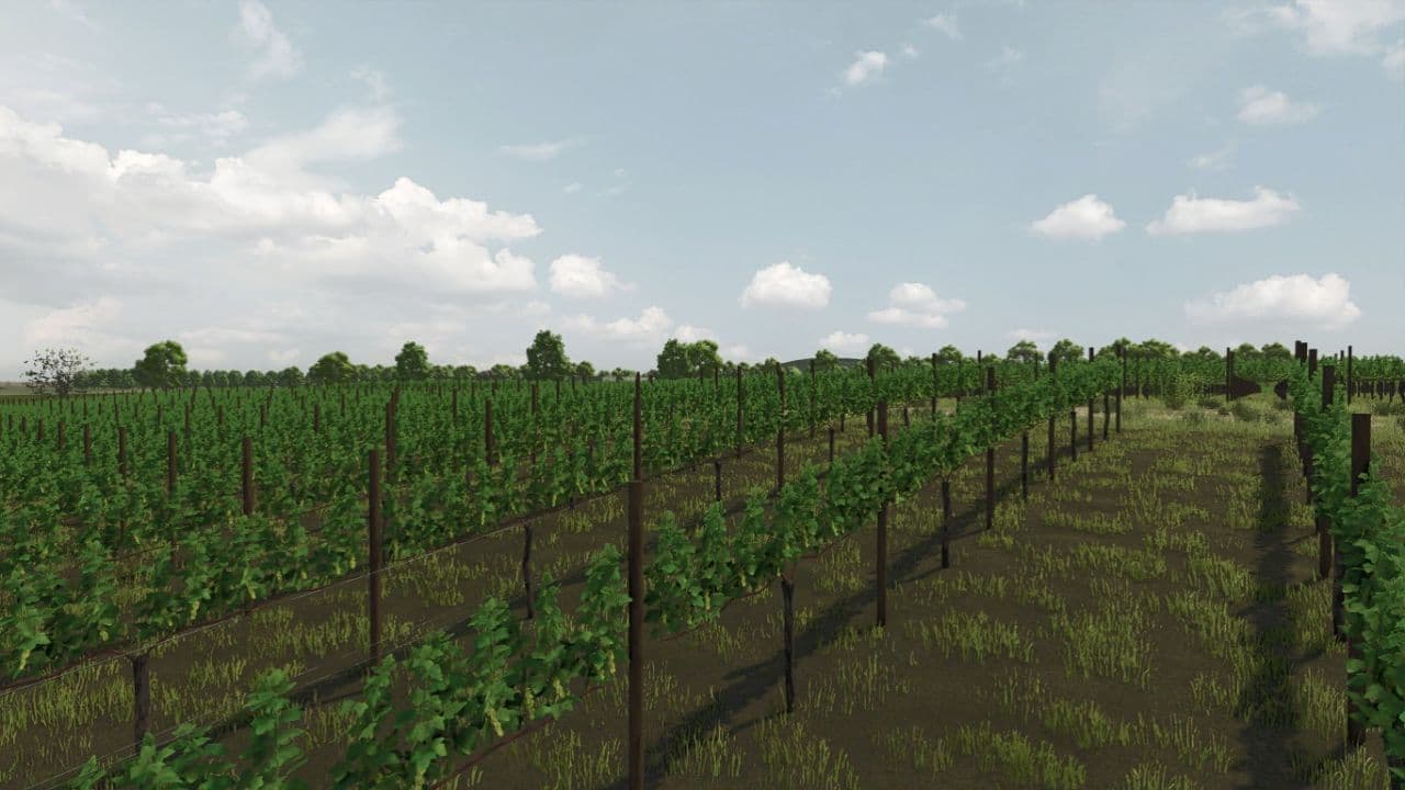 Real Sky (remake) 4