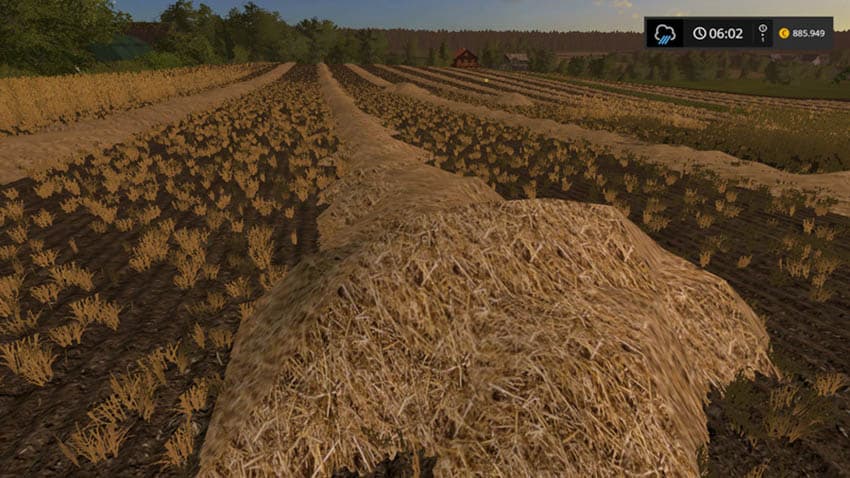 Real Grass Hay straw [SP]