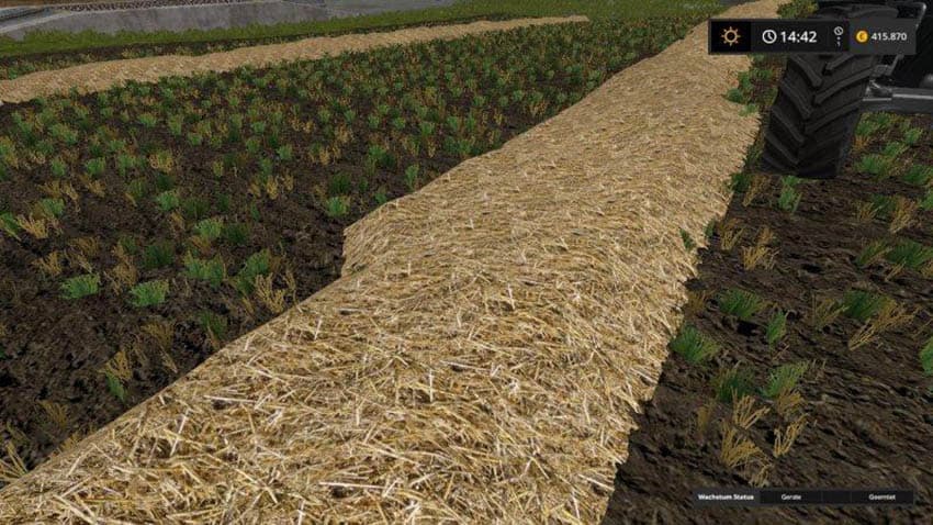 Real Straw Texture 3