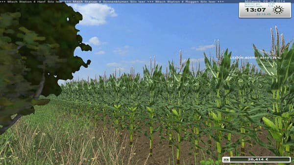 Real corn HD Texture [SP]
