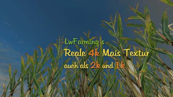 Reale 4k corn [SP] 3