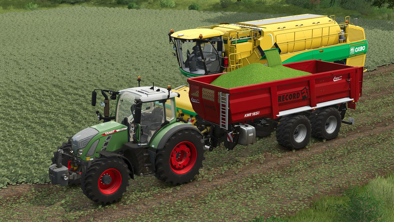 Record KMR 1850 EVO++ Lift Version 4