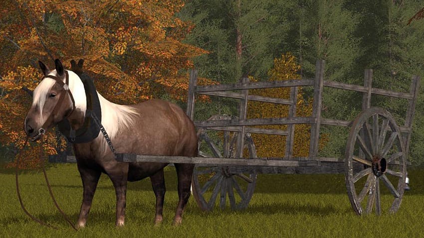 Rideable Pony 3