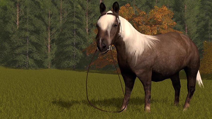 Rideable Pony 2