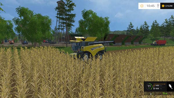Ringwoods [MP] 5