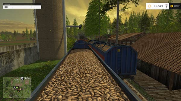 Ringwoods [MP]