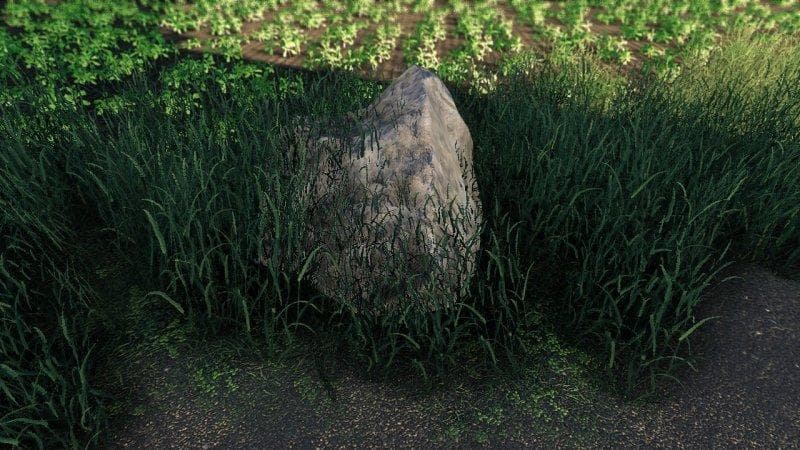 Rocks