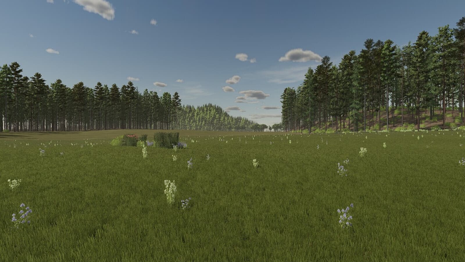 Rustic Roots 4