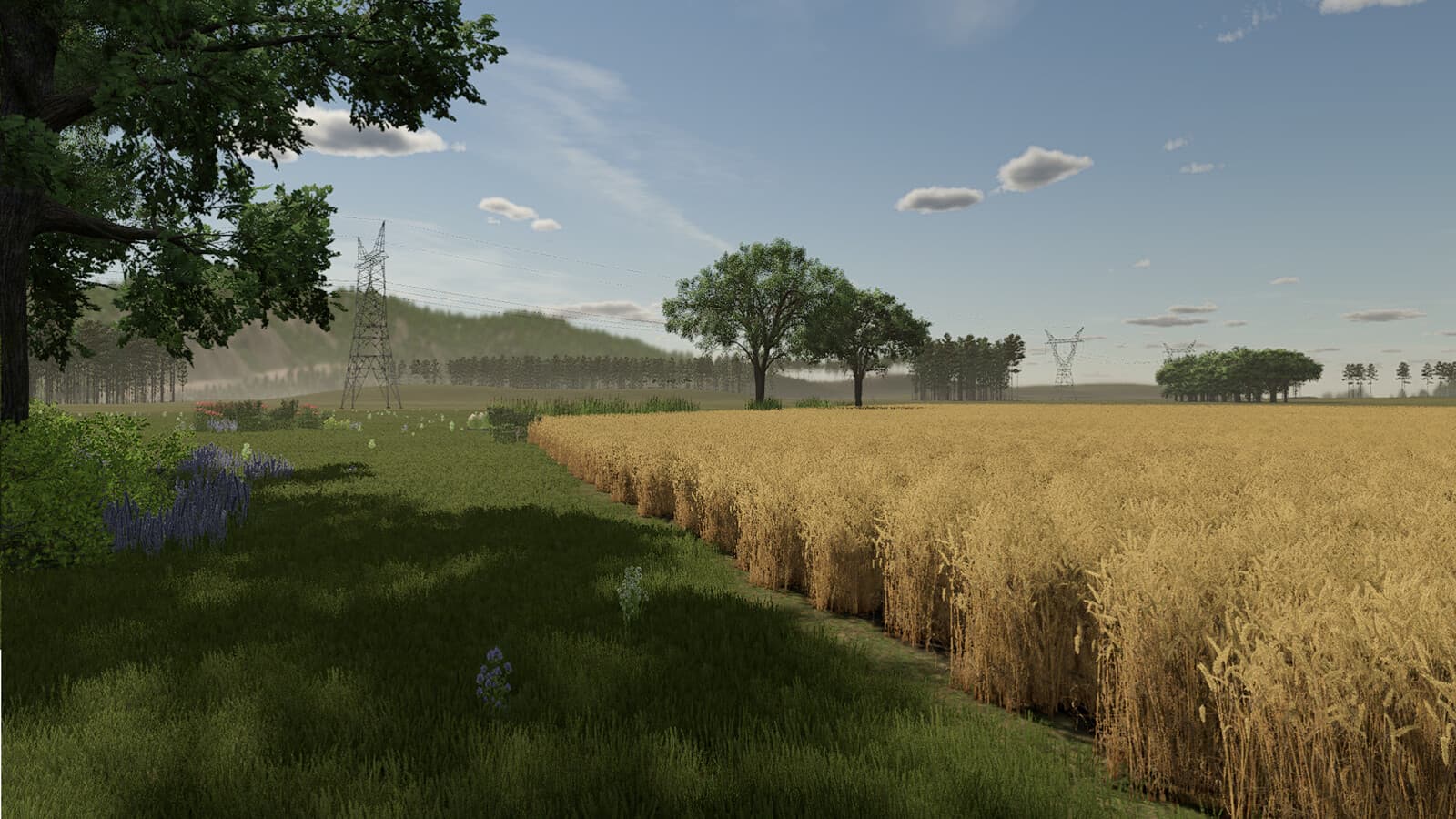 Rustic Roots 2