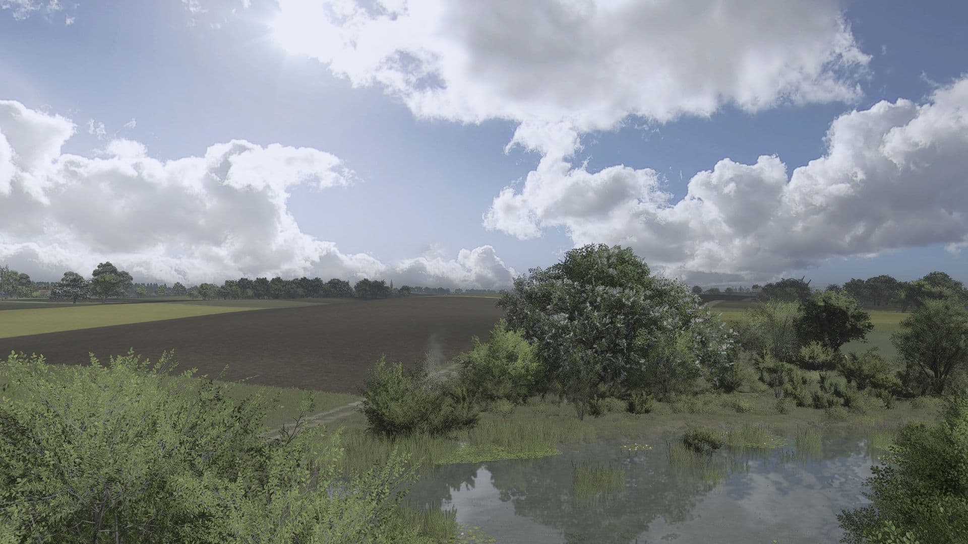 SHADER BY JACOO B (OSW) 6