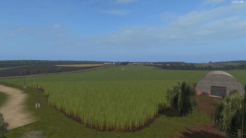 SUMMER FIELDS [MP]