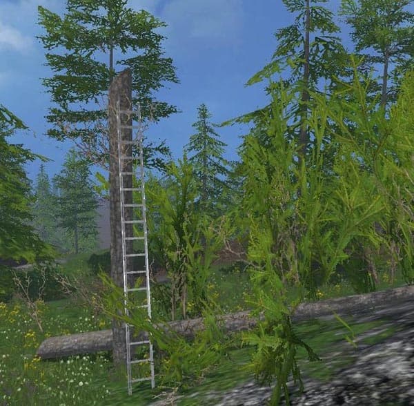 Scaffolding and ladders [MP] 2