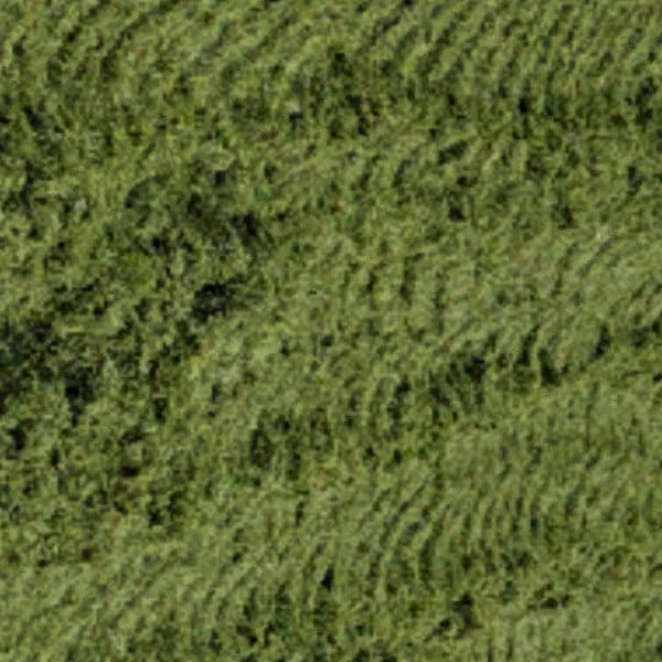 Silage Textures Beta [SP]