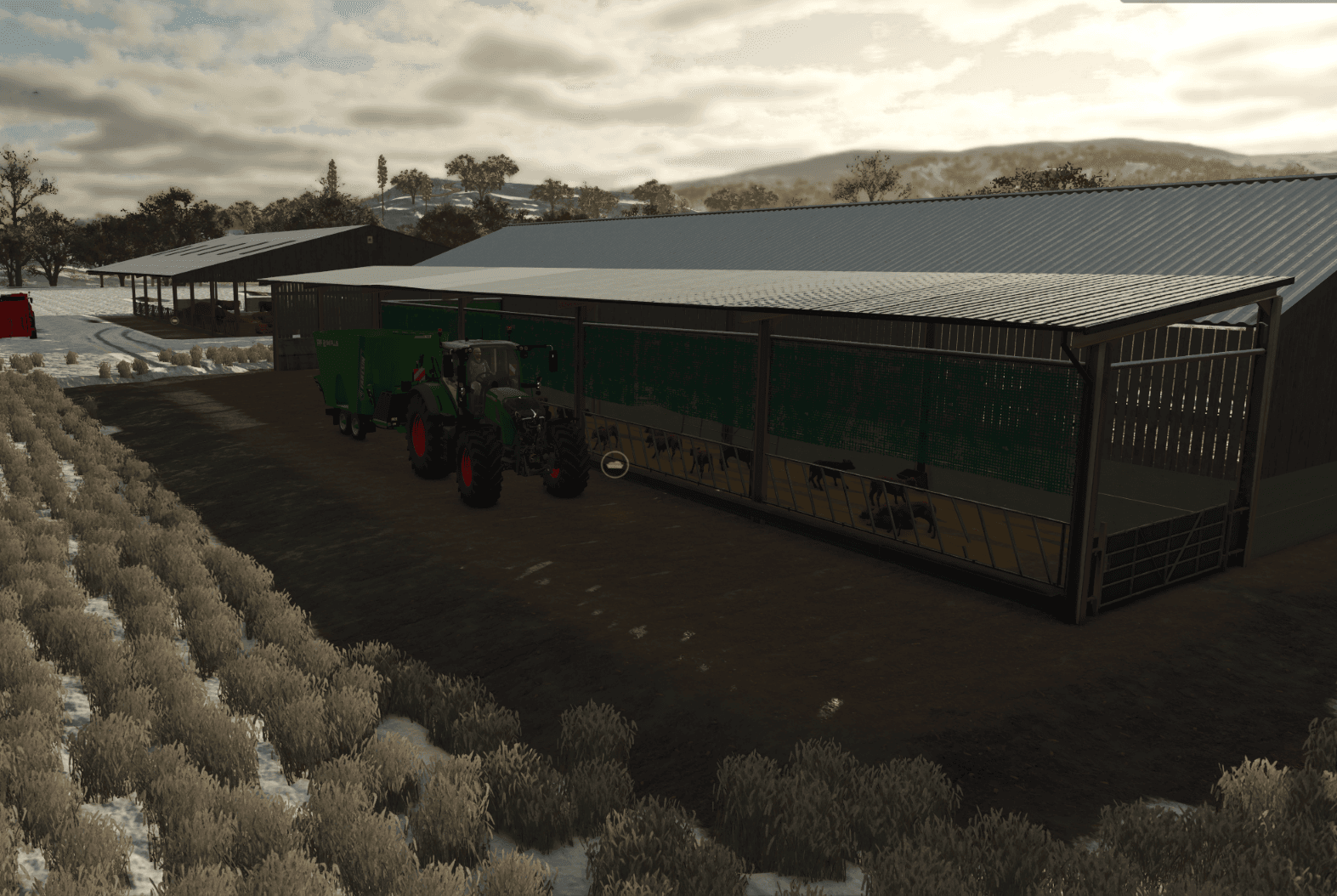 Small Calf Shed 2