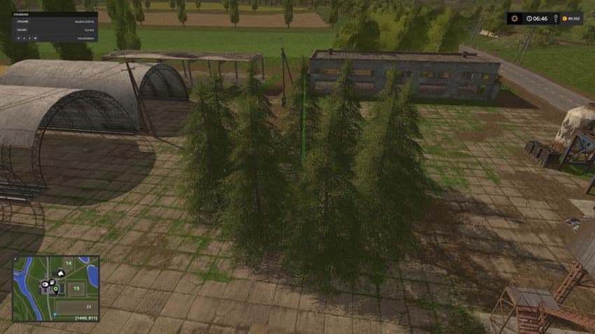 Small fir tree [MP] 2