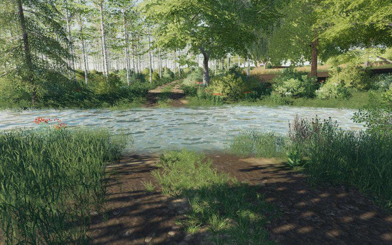Starowies Map 5