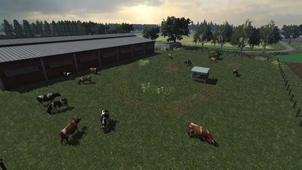 Steinfeldasd [MP] 4