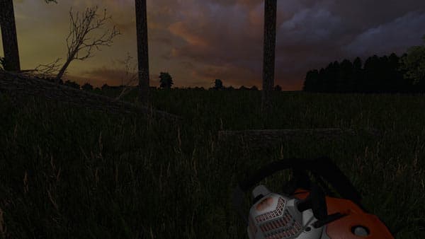 Stihl MS 170 [MP]