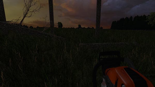 Stihl MS 170 [MP] 2