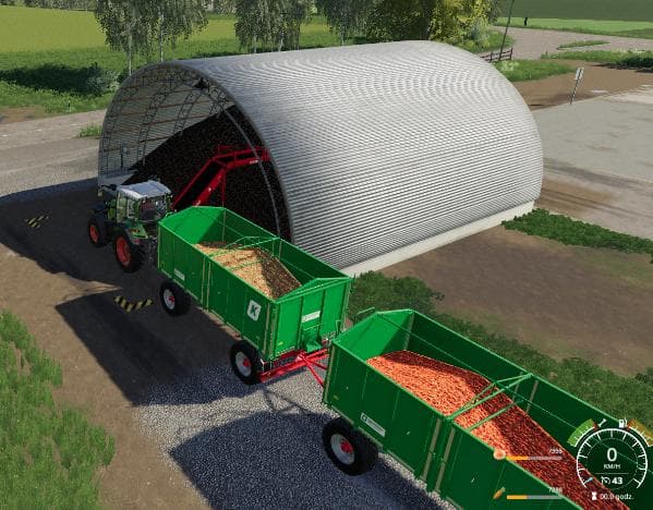 Storage carrots onions 2