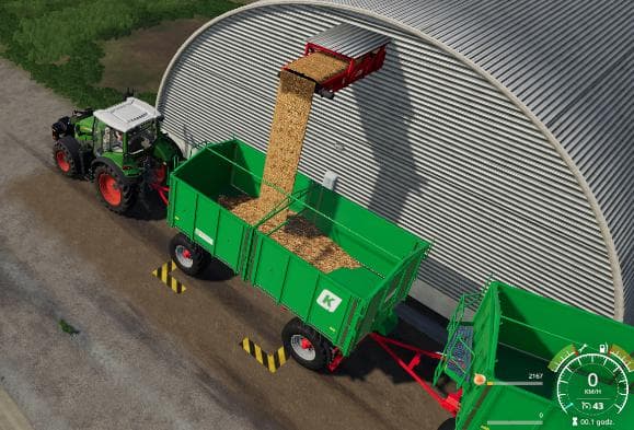 Storage carrots onions