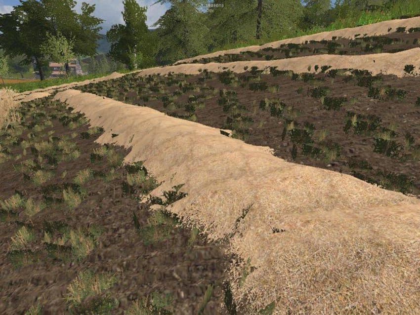 Straw Texture